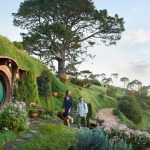 新西兰访客持旅游签证可额外学习3个月!