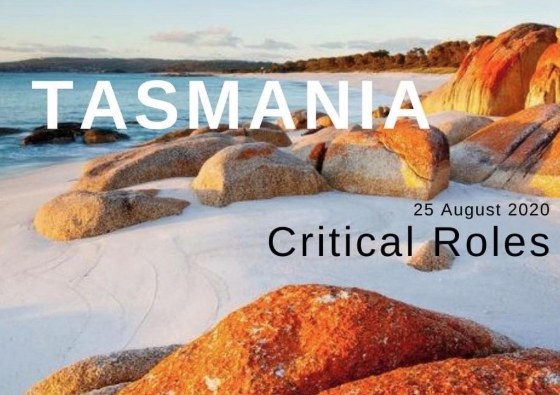 塔斯马尼亚州州担