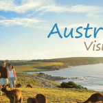 境内旅游签证申请情况最新更新！