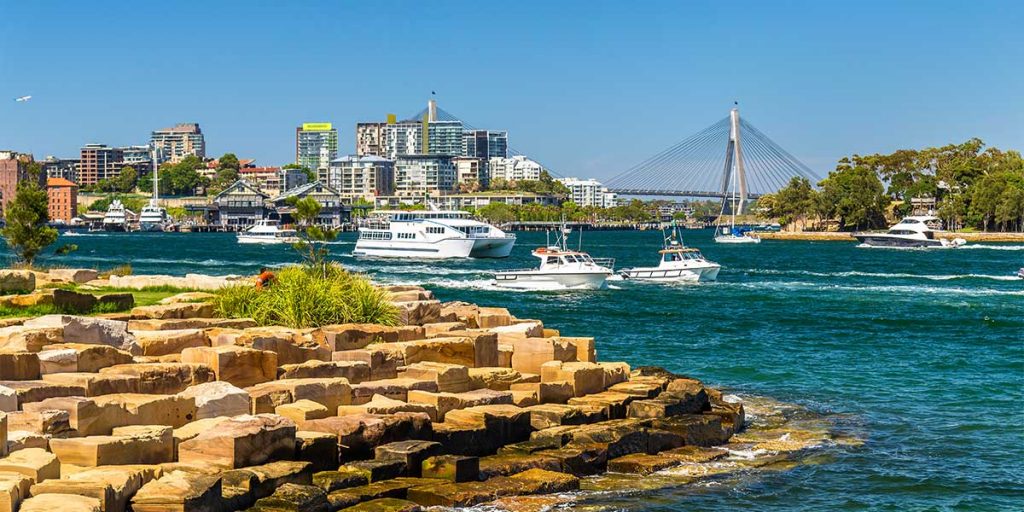 新州州担政策更新，更多热门职业