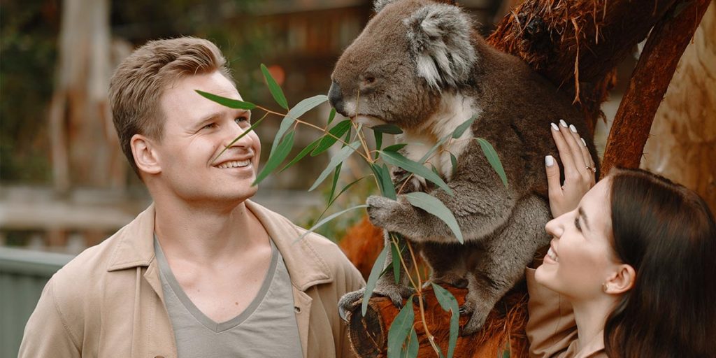 2022澳洲最新移民动态